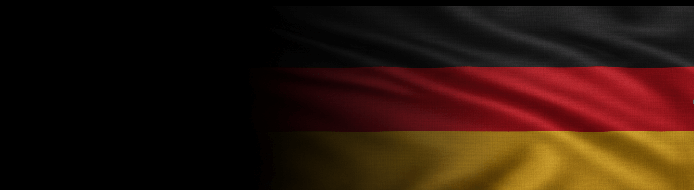 Germany's National Decade Against Post-Infectious Diseases